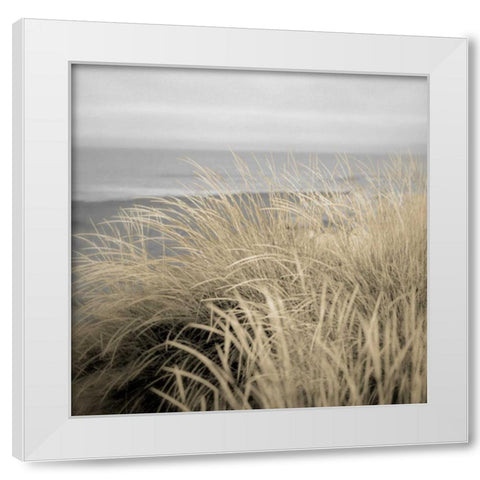 Tuscan Dunes #2A White Modern Wood Framed Art Print by Blaustein, Alan