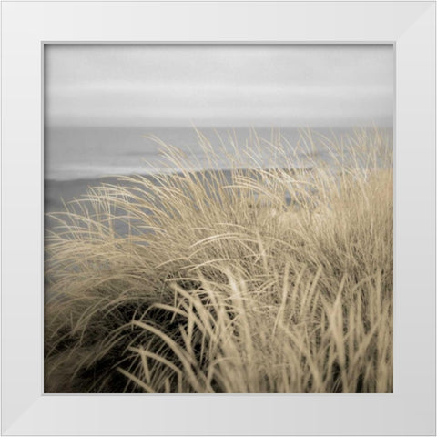 Tuscan Dunes #2A White Modern Wood Framed Art Print by Blaustein, Alan