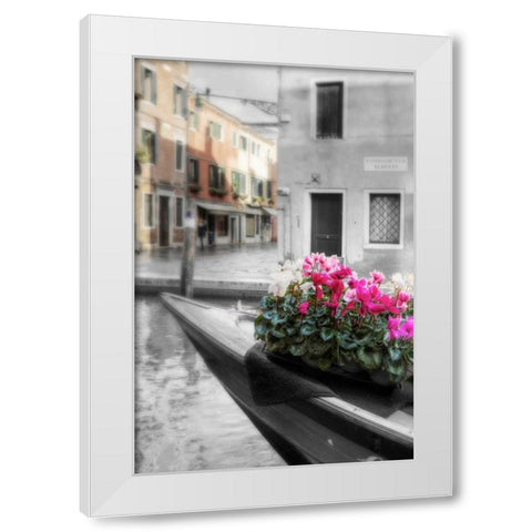 Canal Fiori #1 White Modern Wood Framed Art Print by Blaustein, Alan
