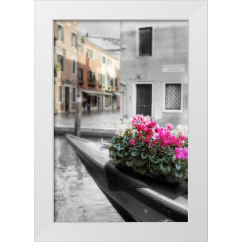Canal Fiori #1 White Modern Wood Framed Art Print by Blaustein, Alan