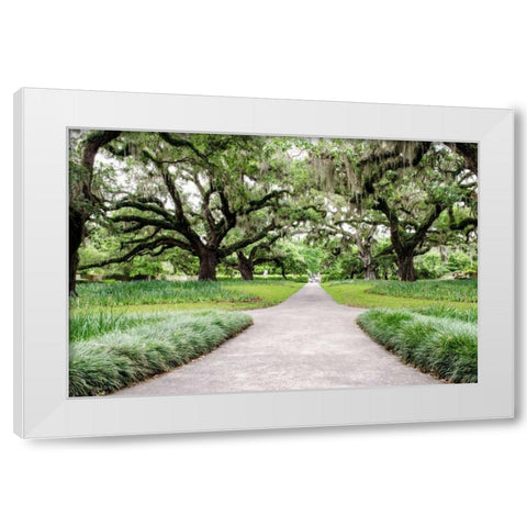 Garden Entrance White Modern Wood Framed Art Print by Burdick, Chuck