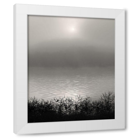 Monochrome Sunrise White Modern Wood Framed Art Print by Bell, Nicholas