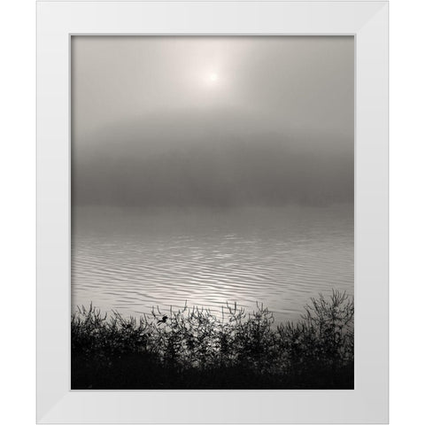 Monochrome Sunrise White Modern Wood Framed Art Print by Bell, Nicholas