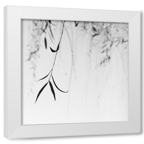 Willow Print No. 1 White Modern Wood Framed Art Print by Bell, Nicholas