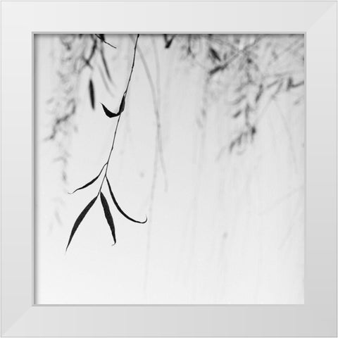 Willow Print No. 1 White Modern Wood Framed Art Print by Bell, Nicholas