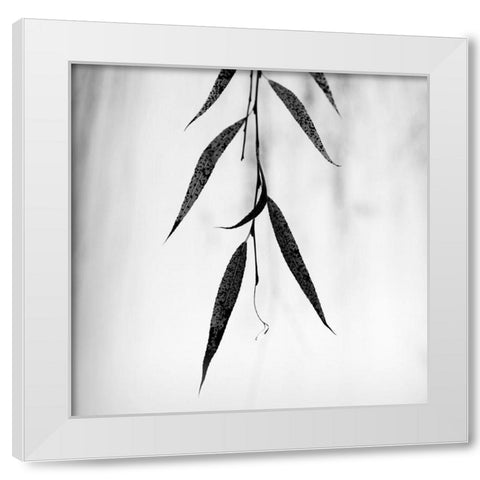 Willow Print No. 2 White Modern Wood Framed Art Print by Bell, Nicholas