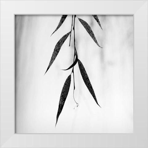Willow Print No. 2 White Modern Wood Framed Art Print by Bell, Nicholas