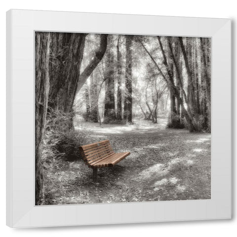 Old Mill Park White Modern Wood Framed Art Print by Blaustein, Alan