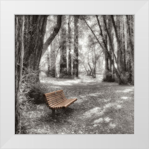 Old Mill Park White Modern Wood Framed Art Print by Blaustein, Alan