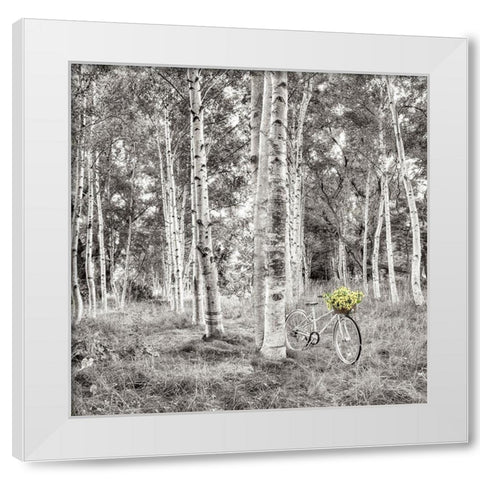 Sunflower Bicycle Ride White Modern Wood Framed Art Print by Blaustein, Alan