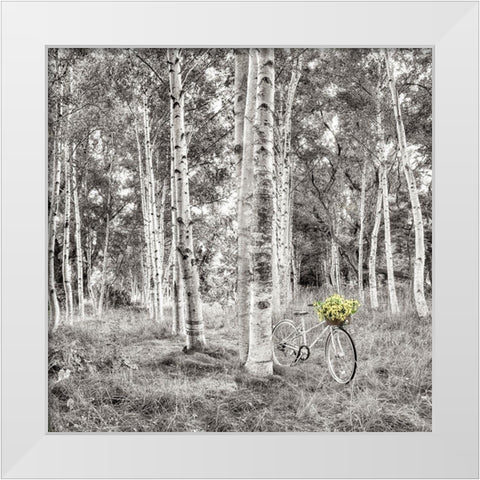Sunflower Bicycle Ride White Modern Wood Framed Art Print by Blaustein, Alan