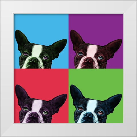 Loyalty Pop White Modern Wood Framed Art Print by Bertelli, Jon