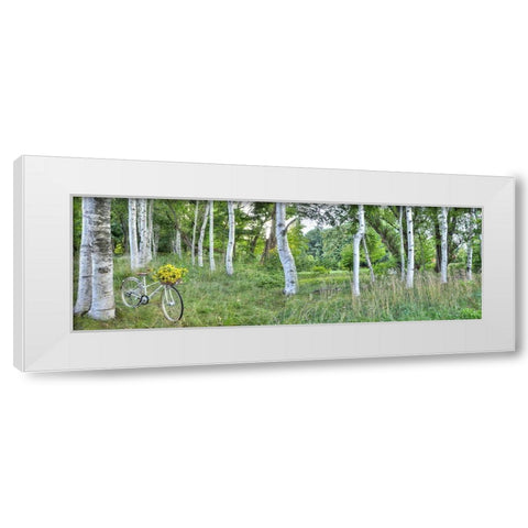 Sunflower Bike Ride No.4 White Modern Wood Framed Art Print by Blaustein, Alan