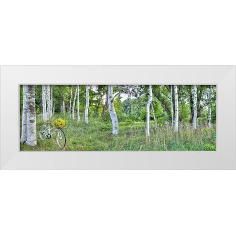 Sunflower Bike Ride No.4 White Modern Wood Framed Art Print by Blaustein, Alan