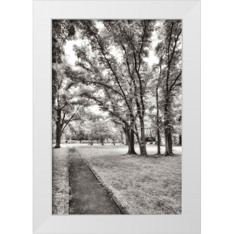 Garden Pathway No.1 White Modern Wood Framed Art Print by Blaustein, Alan