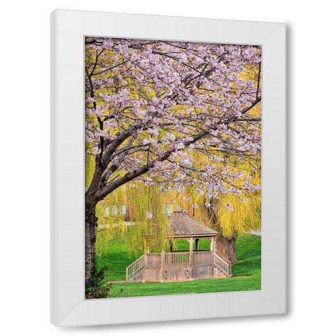 Quiet Retreat White Modern Wood Framed Art Print by Burdick, Chuck