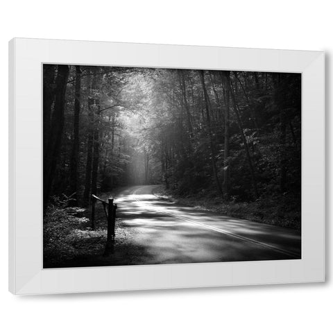 Tremont Road, Smoky Mountains White Modern Wood Framed Art Print by Bell, Nicholas