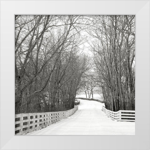 Country Lane in Winter White Modern Wood Framed Art Print by Bell, Nicholas