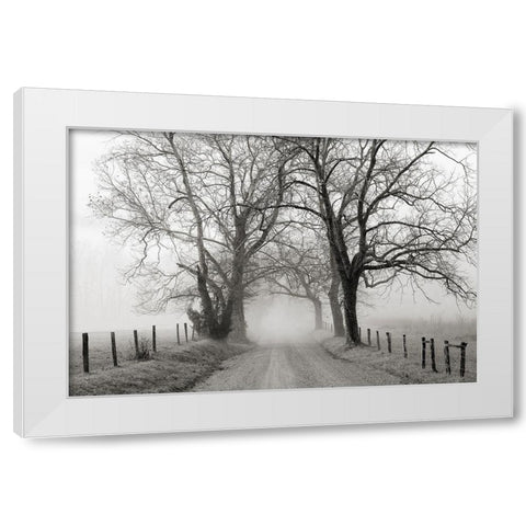 Sparks Lane, Late Autumn White Modern Wood Framed Art Print by Bell, Nicholas