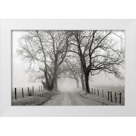 Sparks Lane, Late Autumn White Modern Wood Framed Art Print by Bell, Nicholas