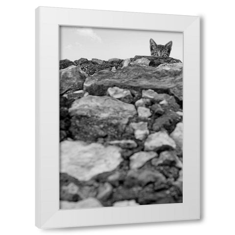 C est Moi! White Modern Wood Framed Art Print by Bertelli, Jon