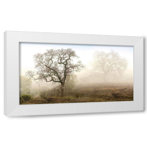 Sonoma Oak 1 White Modern Wood Framed Art Print by Blaustein, Alan