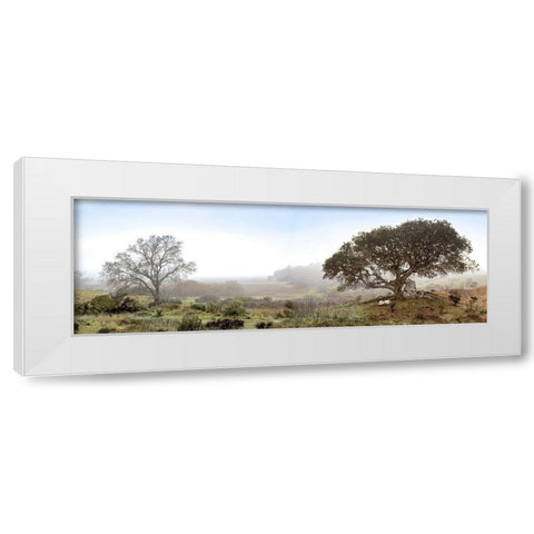 Sonoma Oak Trees No. 1 White Modern Wood Framed Art Print by Blaustein, Alan