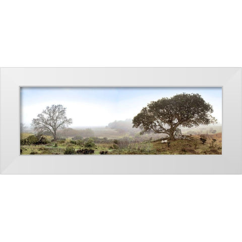 Sonoma Oak Trees No. 1 White Modern Wood Framed Art Print by Blaustein, Alan