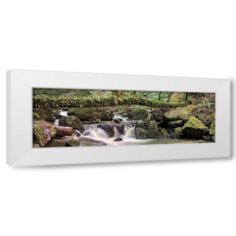 Canyon Falls No. 11 White Modern Wood Framed Art Print by Blaustein, Alan