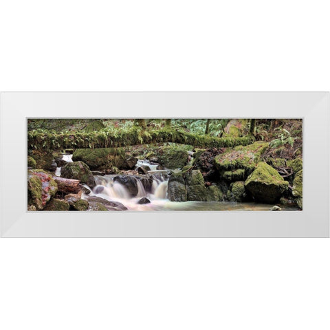 Canyon Falls No. 11 White Modern Wood Framed Art Print by Blaustein, Alan
