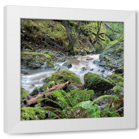 Canyon Falls No. 18 White Modern Wood Framed Art Print by Blaustein, Alan