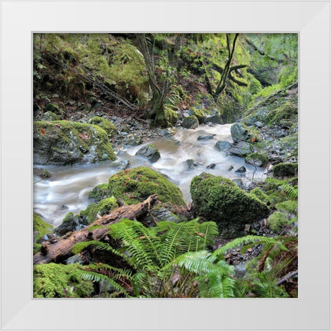 Canyon Falls No. 18 White Modern Wood Framed Art Print by Blaustein, Alan