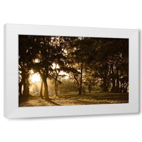 Daybreak White Modern Wood Framed Art Print by Burdick, Chuck