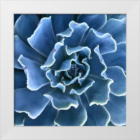 Ruffled Edges White Modern Wood Framed Art Print by Bell, Jan