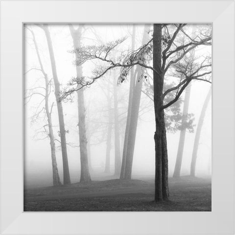 Ethereal Trees White Modern Wood Framed Art Print by Bell, Nicholas