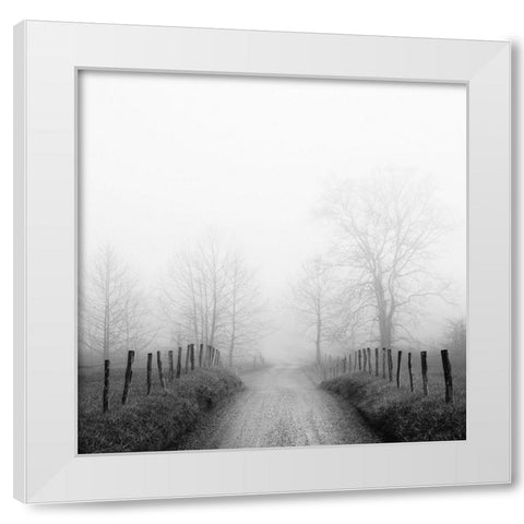 Sparks Lane in Fog White Modern Wood Framed Art Print by Bell, Nicholas