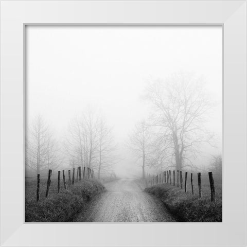 Sparks Lane in Fog White Modern Wood Framed Art Print by Bell, Nicholas