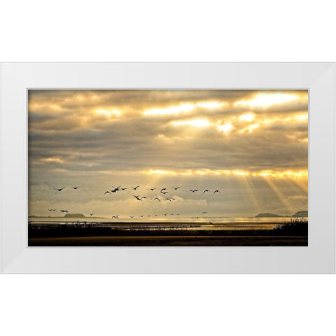 Sunrise on The Estuary White Modern Wood Framed Art Print by Burdick, Chuck