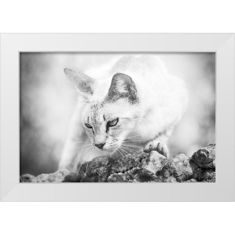 The Heart of a Lion White Modern Wood Framed Art Print by Bertelli, Jon