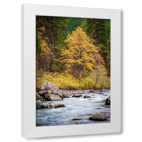 Autumn Across The River White Modern Wood Framed Art Print by Broom, Michael