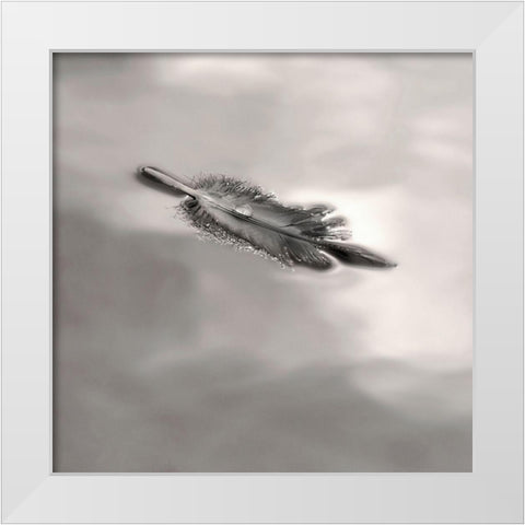 Feather on Liquid Sky White Modern Wood Framed Art Print by Bell, Nicholas