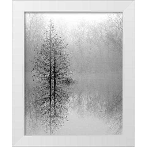 Lake Trees in Winter Fog White Modern Wood Framed Art Print by Bell, Nicholas