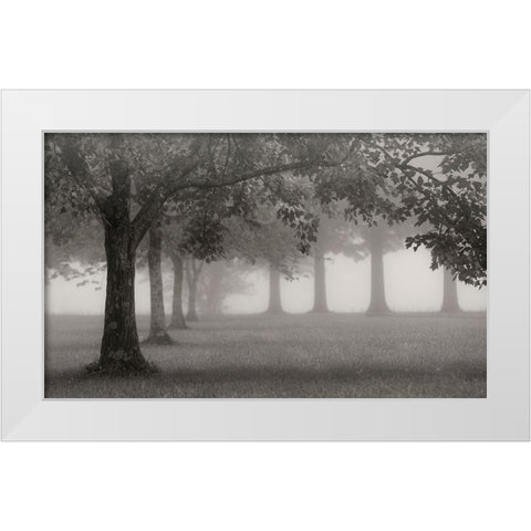 Trees In Early Autumn White Modern Wood Framed Art Print by Bell, Nicholas