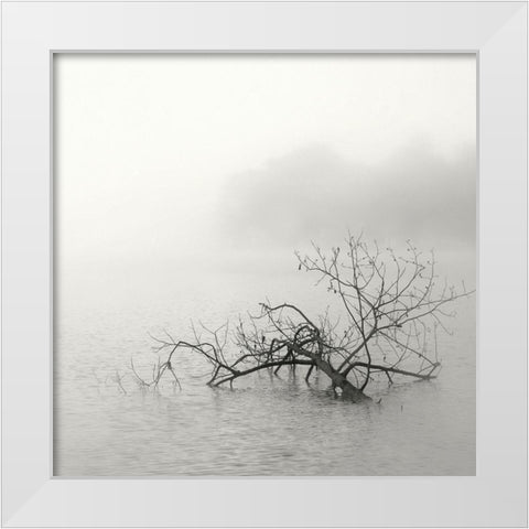 Zen Lake White Modern Wood Framed Art Print by Bell, Nicholas