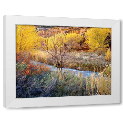 Autumn Chaos Along The Fremont White Modern Wood Framed Art Print by Becia, Jim