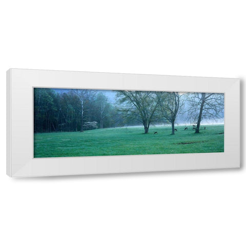 Foggy Morning and Deer White Modern Wood Framed Art Print by Becia, Jim
