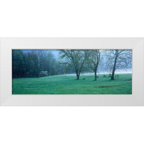 Foggy Morning and Deer White Modern Wood Framed Art Print by Becia, Jim