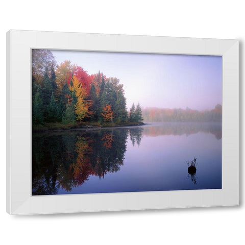 Foggy Morning Sunrise White Modern Wood Framed Art Print by Becia, Jim