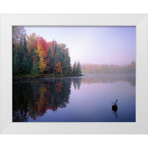 Foggy Morning Sunrise White Modern Wood Framed Art Print by Becia, Jim