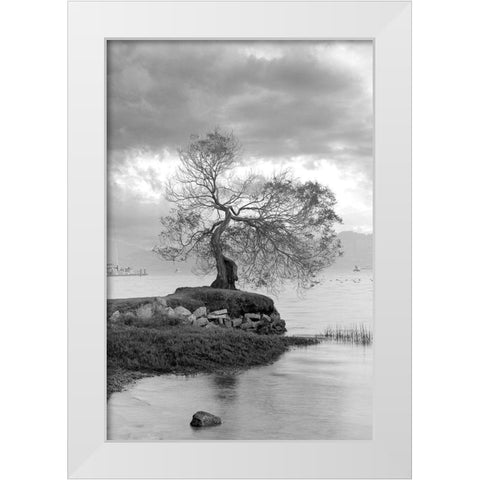 Coastal Oak Series No. 1 White Modern Wood Framed Art Print by Blaustein, Alan